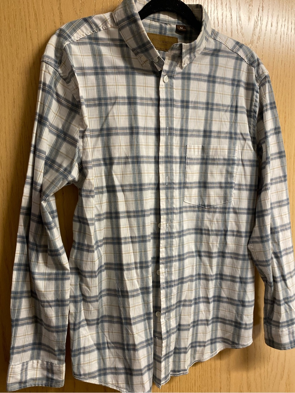 Men's green? and White Plaid Button-Down Shirt